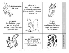 Leporello-Eichhörnchen-Elfchen-B-SW.pdf